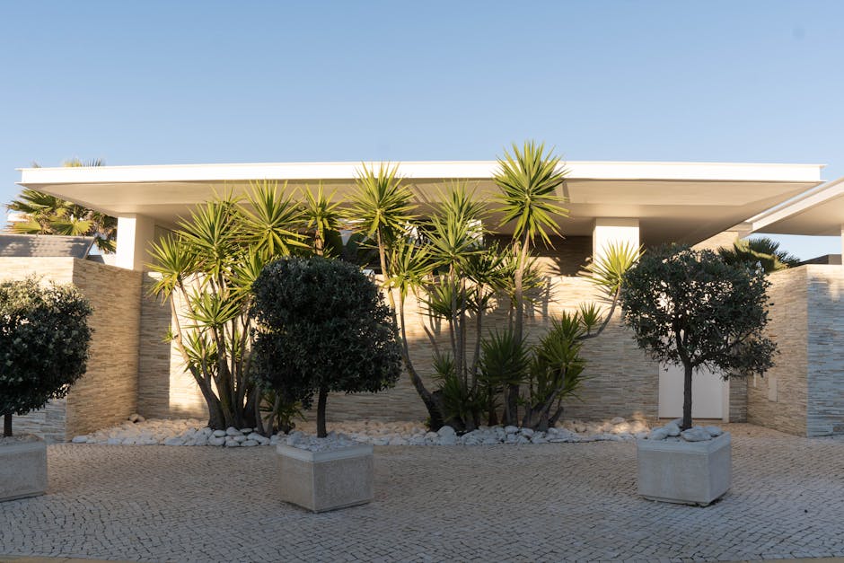Contemporary house in Nazaré, Portugal, featuring tropical plants and stone facade.